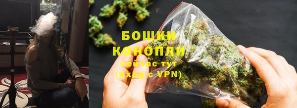 гашик Богородицк