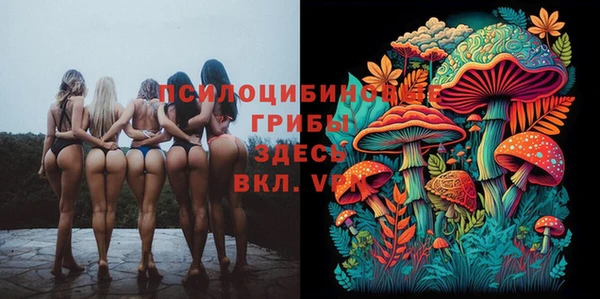 PSILOCYBIN Богородск