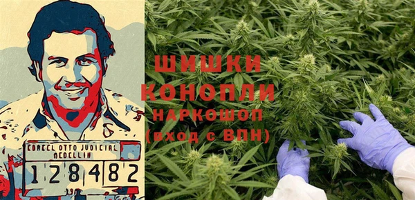 PSILOCYBIN Богородск