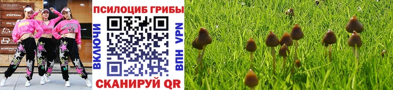 Галлюциногенные грибы ЛСД как найти закладки mega вход Борисоглебск